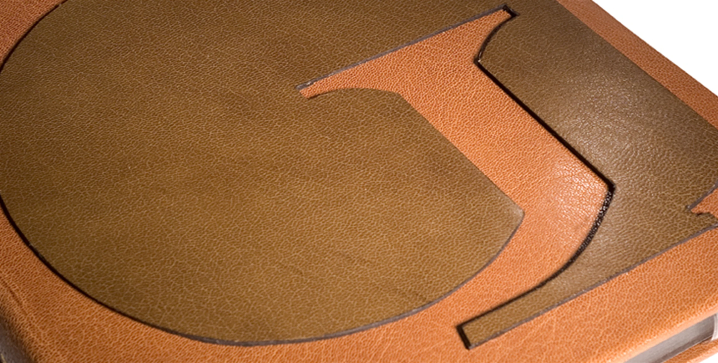 Detaljbild på Mästarband 1996 - Charles Andersson - Konstnärens rum - Anja Notini.