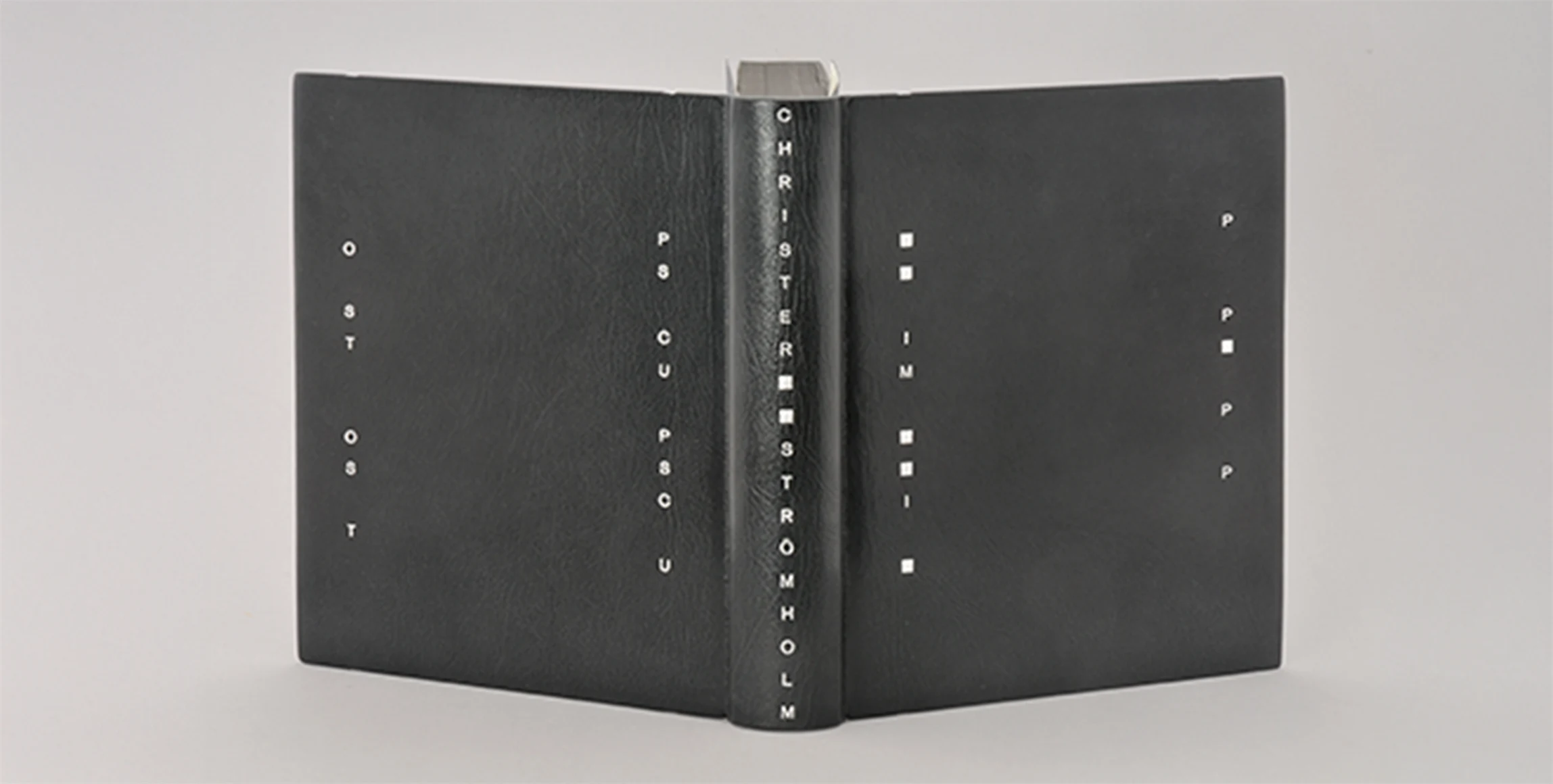 Bild på Mästarband 2012 av Kristoffer Carlsson.